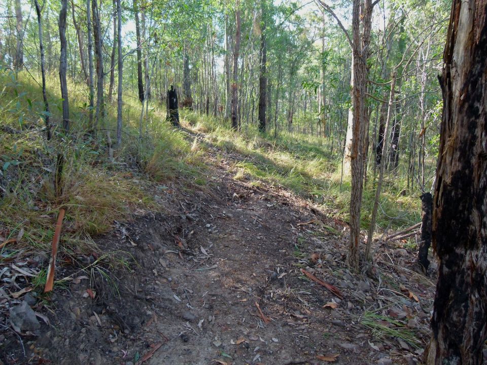 Trail corridor from below